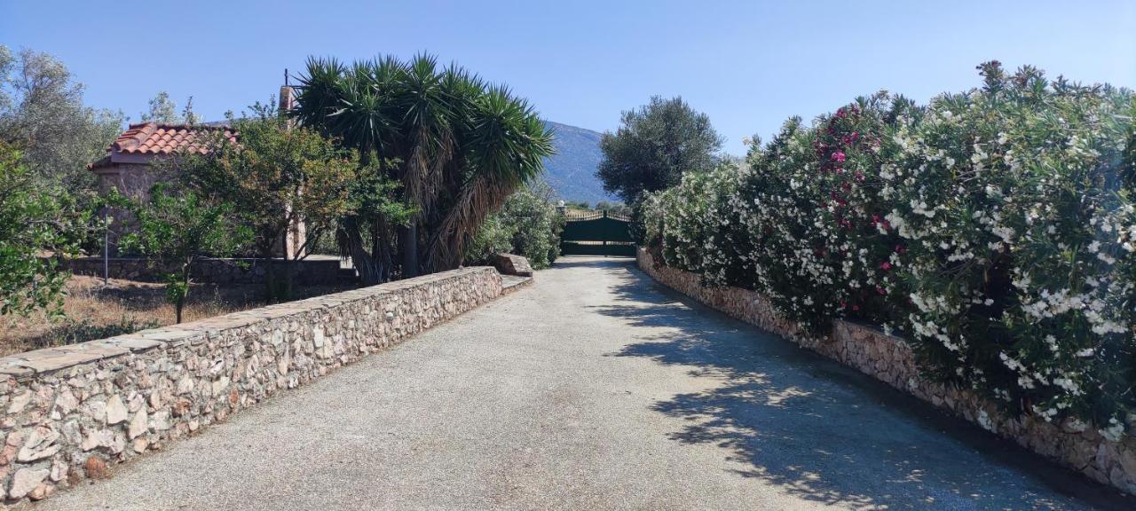 Ellie'S Stonehouse Gianapa, Porto Rafti, Greece, 190 03, Gr Villa Dış mekan fotoğraf